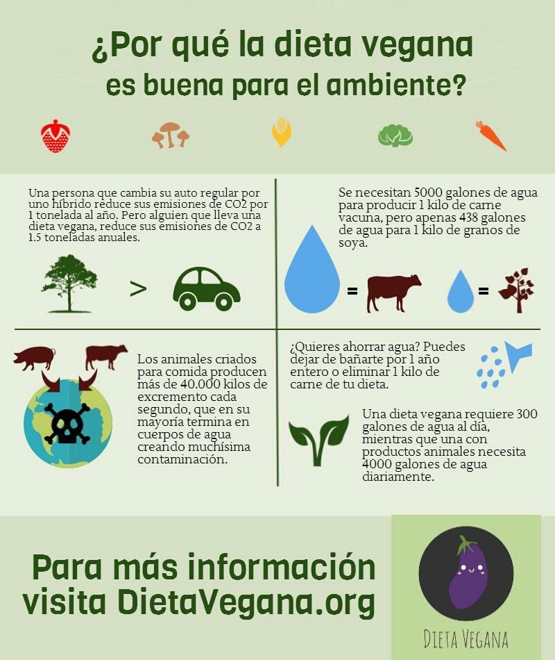 veganoyo's tweet photo. Hoy 22 de Marzo, es el #DíaMundialDelAgua. 

Un día para recordar que si se quiere ahorrar agua, lo más útil es dejar de comer carne.

#GoVegan 💚 https://t.co/KEEiFmuvQP
