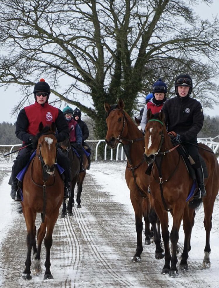 Delighted to have a runner on the opening day of the turf season. Golconda Prince declared for @DoncasterRaces on Saturday and @sebatian_woods rides. Join the club and get involved today, new members are always welcome! #RT #TheFlatIsBack richardfaheyracingclub.com