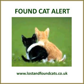 catswestmids's tweet photo. 3077 - FOUND - SADLY DECEASED
Riley Rd, Billesley, Birmingham B14 on 20.03.18
White /Chocolate
Scanned - No chip found
CONTACT info@lostandfoundcats.co.uk or reply here
PLEASE RT https://t.co/X2932DBB3V