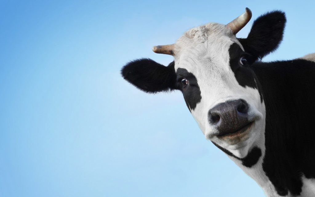 farmingprofits's tweet photo. Energy from Farming: New Legislation on 6th April Will Close Free Connection Options to National Grid for Farmers &amp; Landowners #farmingprofit #energyfarming #nationalgrid #organicenergy https://t.co/F132tx6o9v https://t.co/YTD6xXcgaD