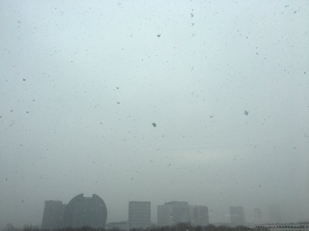 Yfairandgreen's tweet photo. Yay, Fr��hling in Frankfurt... ❄️ https://t.co/TjbDfkGSAn