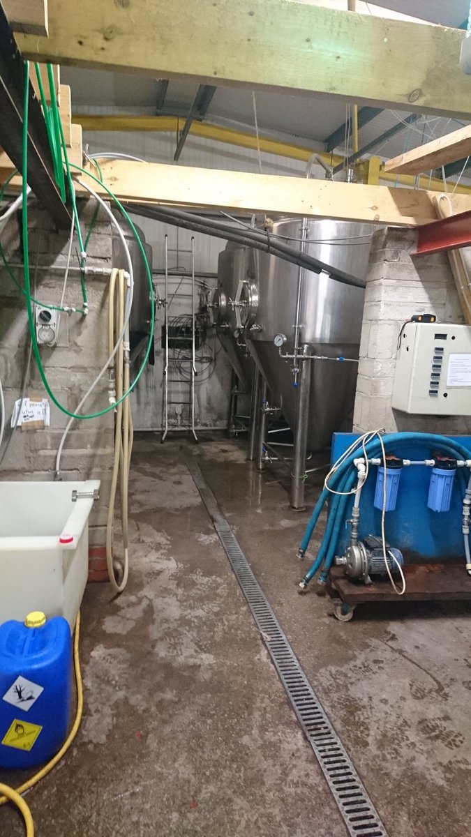 Sue the Brew tweet media