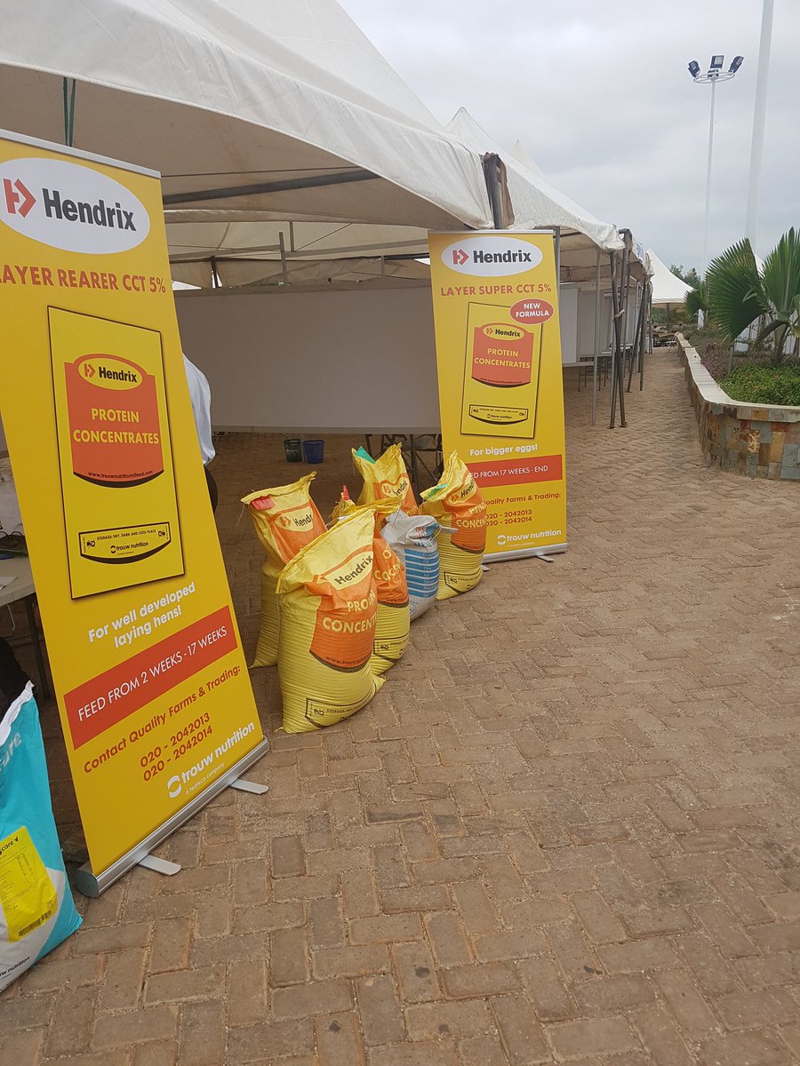 akuecklu's tweet photo. @NLinGhana H.E Ambassador Ron Strikker speaking at the poultry fair in Sunyani. Lots of Ghanaian poultry companies import from the Netherlands!! https://t.co/y3fEfsgkg8