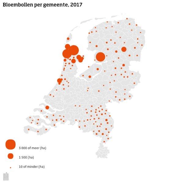 statistiekcbs's tweet photo. In welke gemeente is de grootste oppervlakte landbouwgrond met #bloembollen te vinden?https://t.co/95XUG6IC4X https://t.co/LlTFWv7nAv