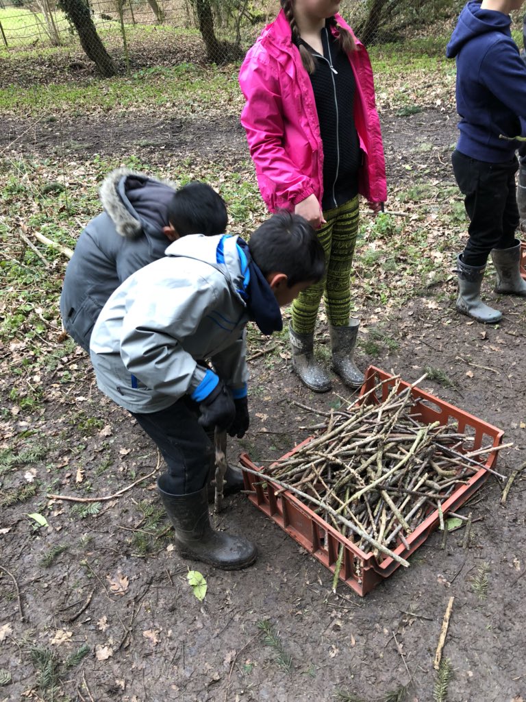 Uxendon_Manor's tweet photo. Whoโs going to have the best fired? #collectingsticks #firessndcooking #GordonBrown #dayfour https://t.co/NYQMmf0Ivg