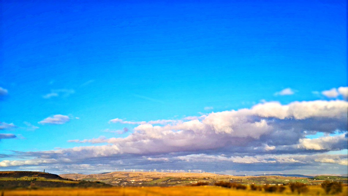 VictoriaL_R's tweet image. Still enjoying the #BigStepChallenge with @PaulaW_BaH #mindfuldogwalkingtothepackhorse