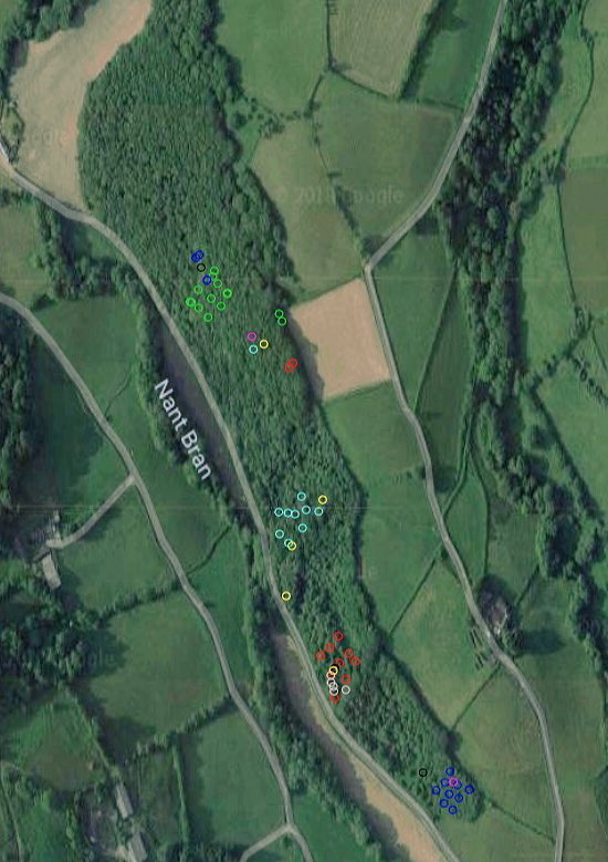 QuackAttack036's tweet image. Today is my last day of data collection at #NantBranWood. I have mostly been playing around with cameras looking for mammals. This map shows where I have been looking across the wood. Excited to see what the data shows about mammal activity across the woodland #mastersproject