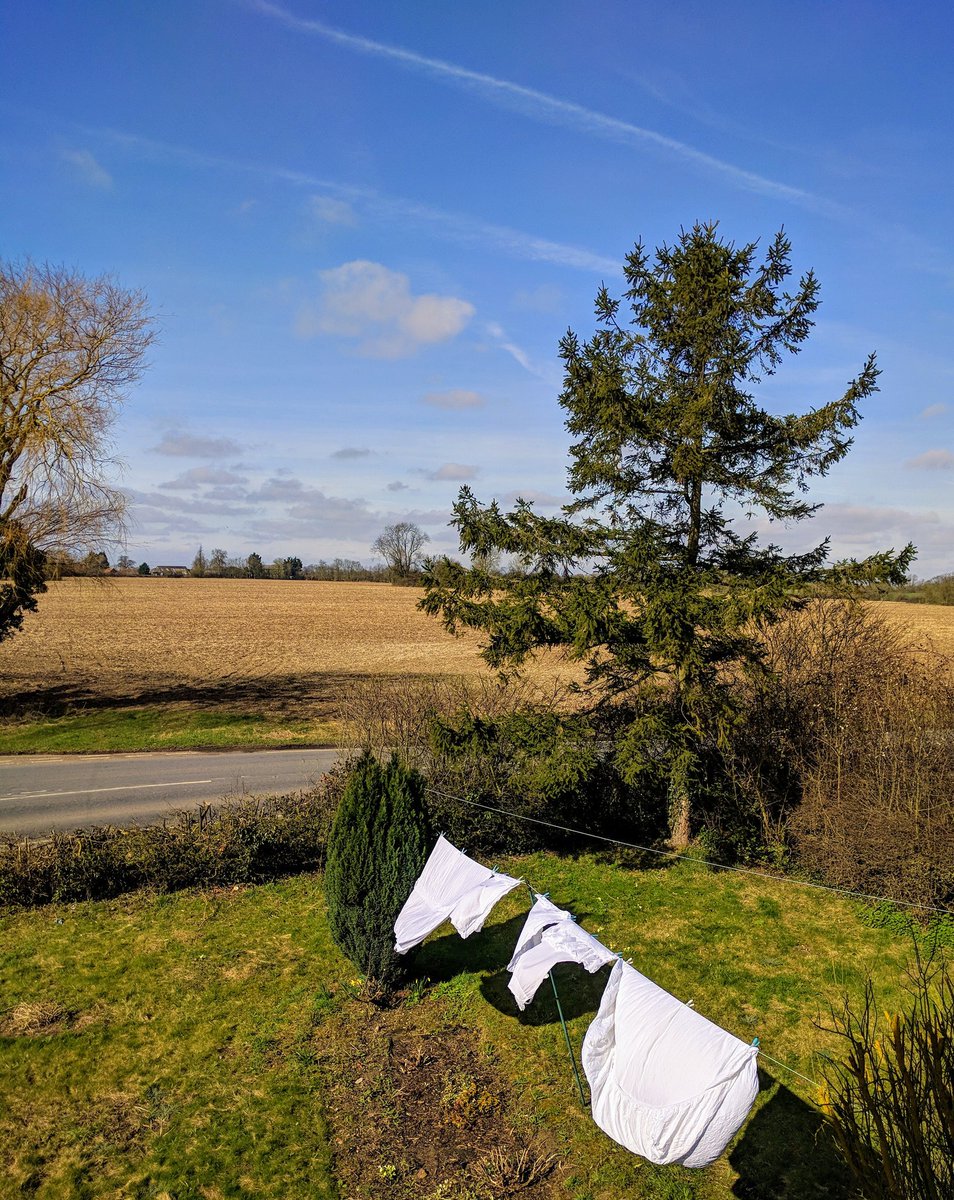 ContraryCottage's tweet image. It's a good dry out.