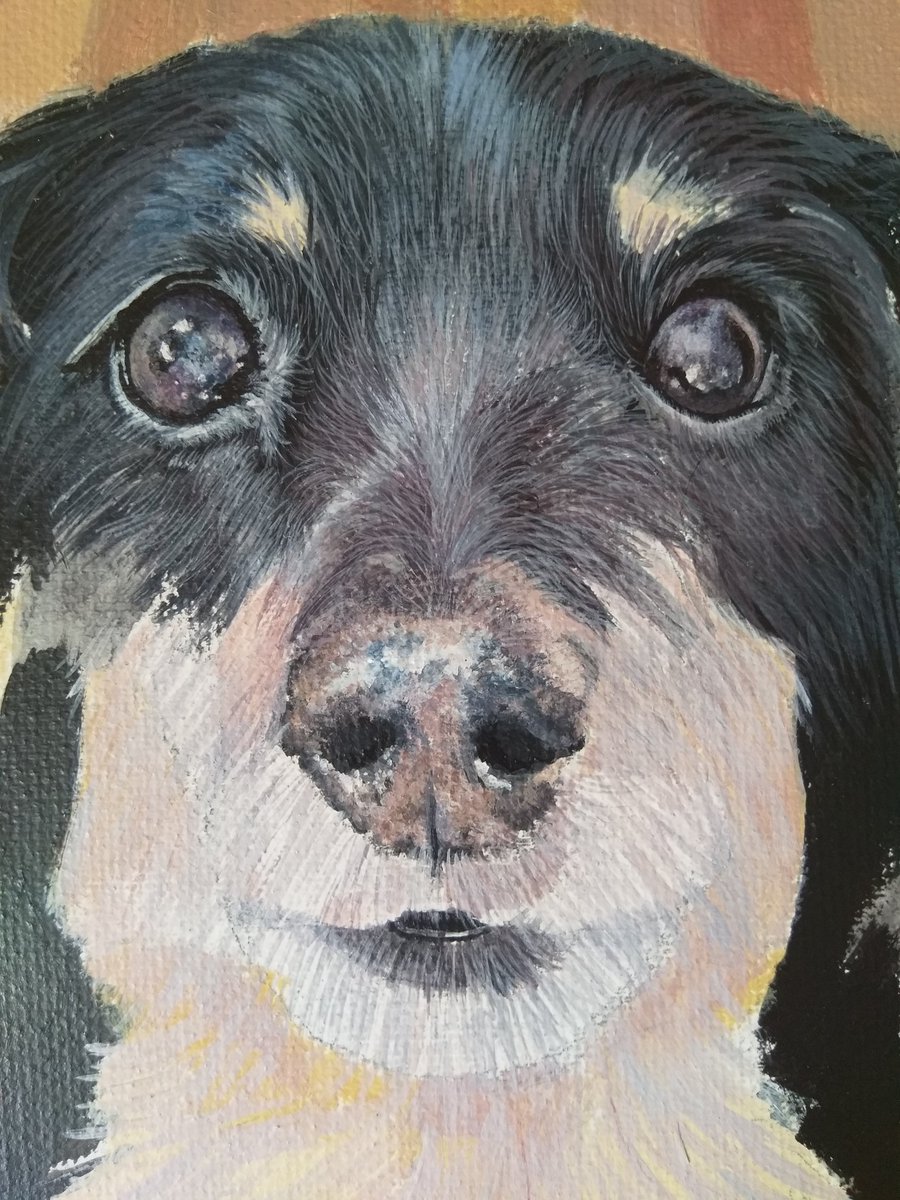 Kat_Cromwell's tweet photo. Shadow a #wip almost there with the eyes π #petportrait #Keepsake #memoryportrait https://t.co/l2ol6LZ4dL