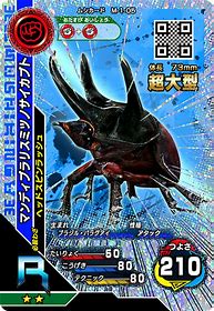 ムシキング 緊急質問！？今度のこんちゅうパーク編でマンディブラリス