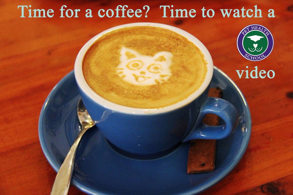 PetHealthSchool's tweet photo. Grab a coffee &amp; sign up for #PetHealthSchool. The #free way to learn about your pet &amp; how to care for them properly. https://t.co/dnhL91qjDv https://t.co/yXtMxq6ZNR
