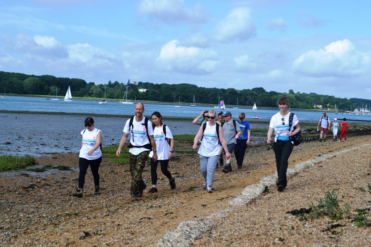 OrwellChallenge tweet media