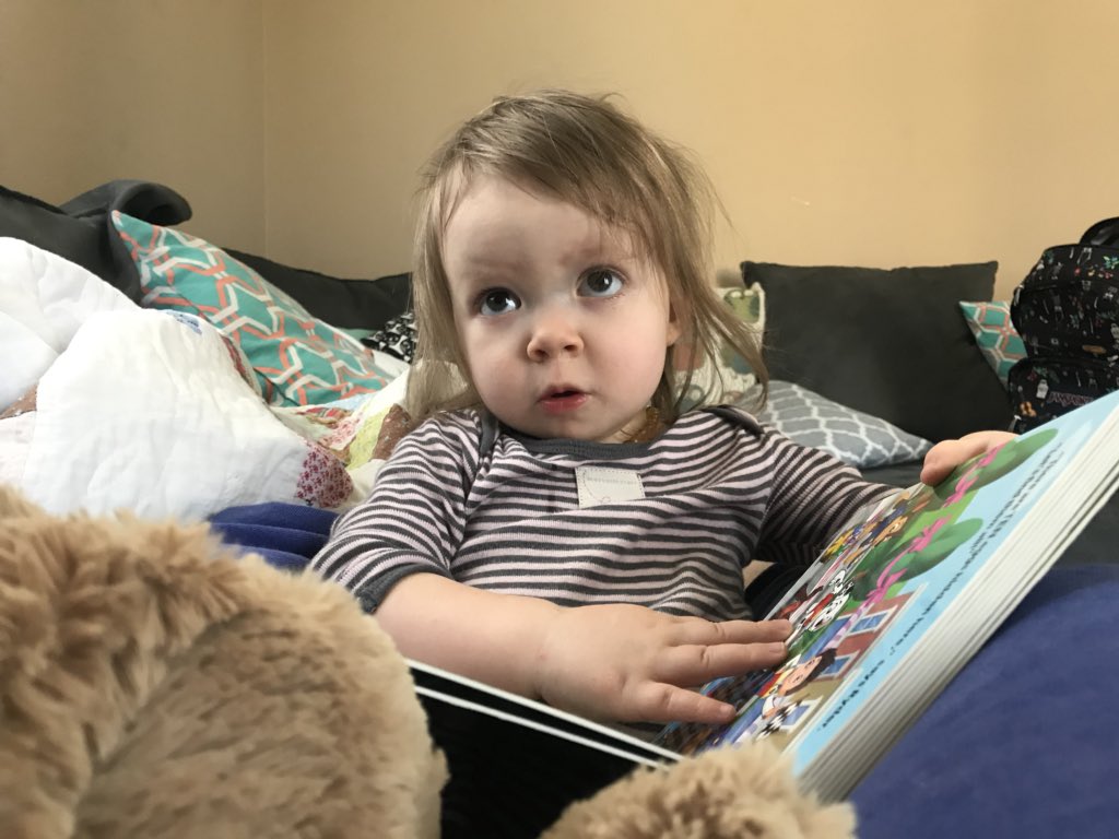 wspsteph's tweet photo. @rckblykitn We love Paw Patrol these days... Currently reading a paw patrol novel. https://t.co/zCXSn2fXOL