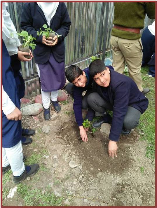 ChinarcorpsIA's tweet photo. #WorldForestryDay - A #plantation drive was organised by the #Army at #AGS High Ground, #Anantnag and AGS #Margund at #Ganderbal; the #Students planted saplings and were briefed on the importance of #afforestation
@adgpi @NorthernComd_IA https://t.co/FZTK2E2m9I