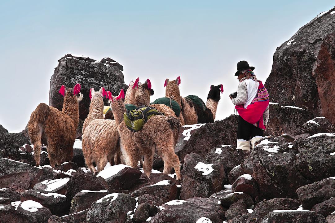 MultiTripTravel's tweet photo. Bucket list heaven - next journey Peru!
Read our latest blog over on our website...
#Peru #Travel #Blog #SundayBlogShare https://t.co/eUK7tnJCrB