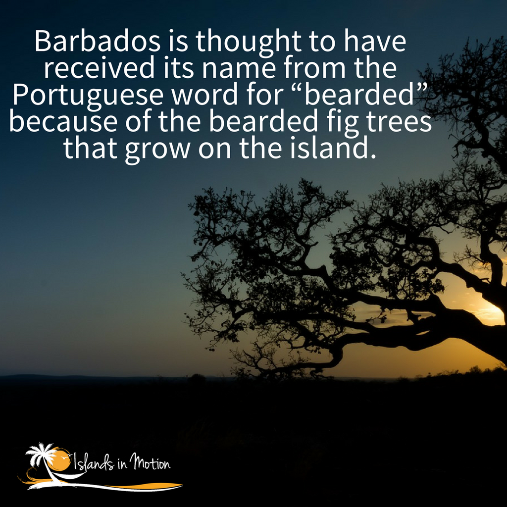 IslandsnMotion's tweet photo. Did you know?
#funfact #IslandsinMotion #Caribbean #inhabited #beard #fig #trees https://t.co/gSy4GwQJrn