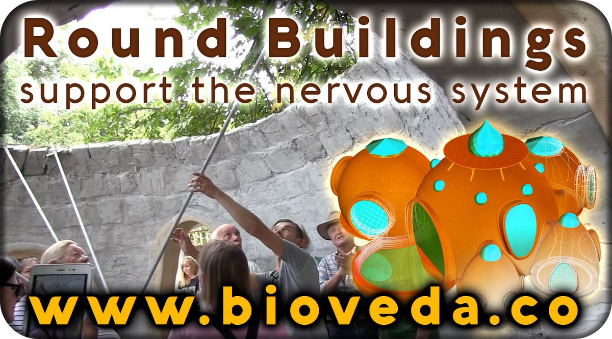 BioVedaAcademy's tweet photo. a healthy nervous system affects the quality of life.  Motto: live in a dome home! @AngelaLudek @annmackeco @WOTSMedia @GwenSerrotti  @IngaJ_CSIR https://t.co/U6mrp1nqA1