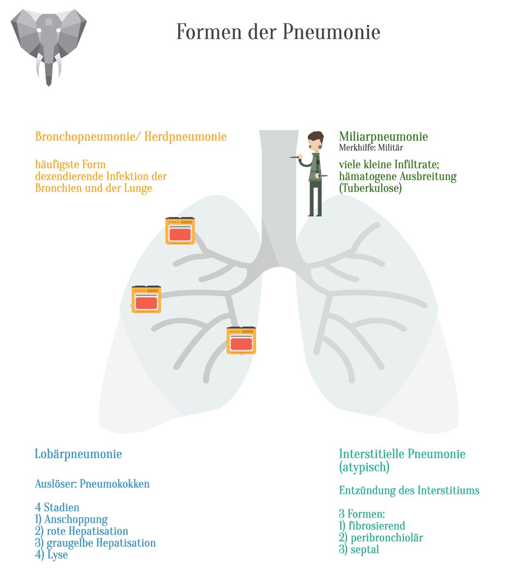 Wisephants's tweet photo. Formen der Pneumonie
1) Bronchopneumonie/Herdpneumonie
2) Miliarpneumonie
3) Interstitielle Pneumonie
4) Lobulärpneumonie https://t.co/imU2NJJXPs