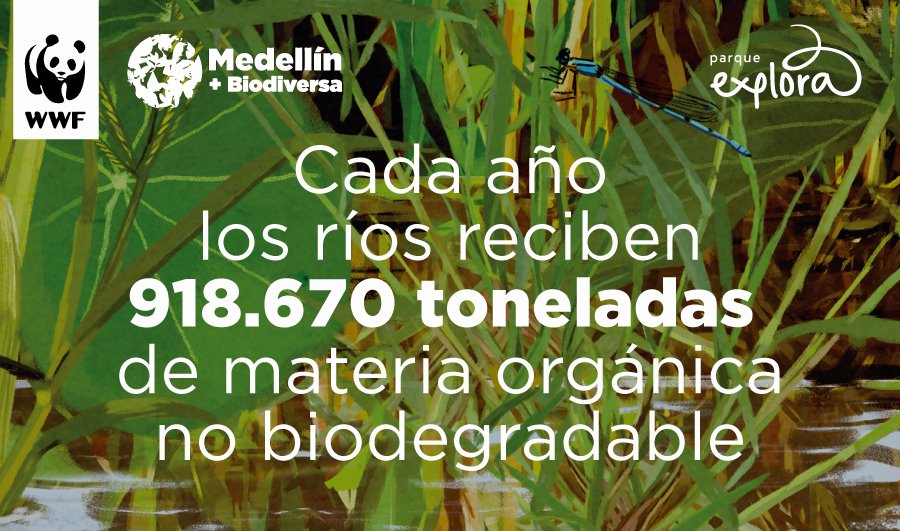 💧El agua es el recurso más precioso del planeta, de él depende el 70% de la energía del país, la agricultura y el hábitat de miles de especies, pero en Colombia corre peligro.

Conoce más hoy a las 6:30 p.m., en el informe Colombia Viva 2017: bit.ly/EcosistemasInf…
#DíaDelAgua