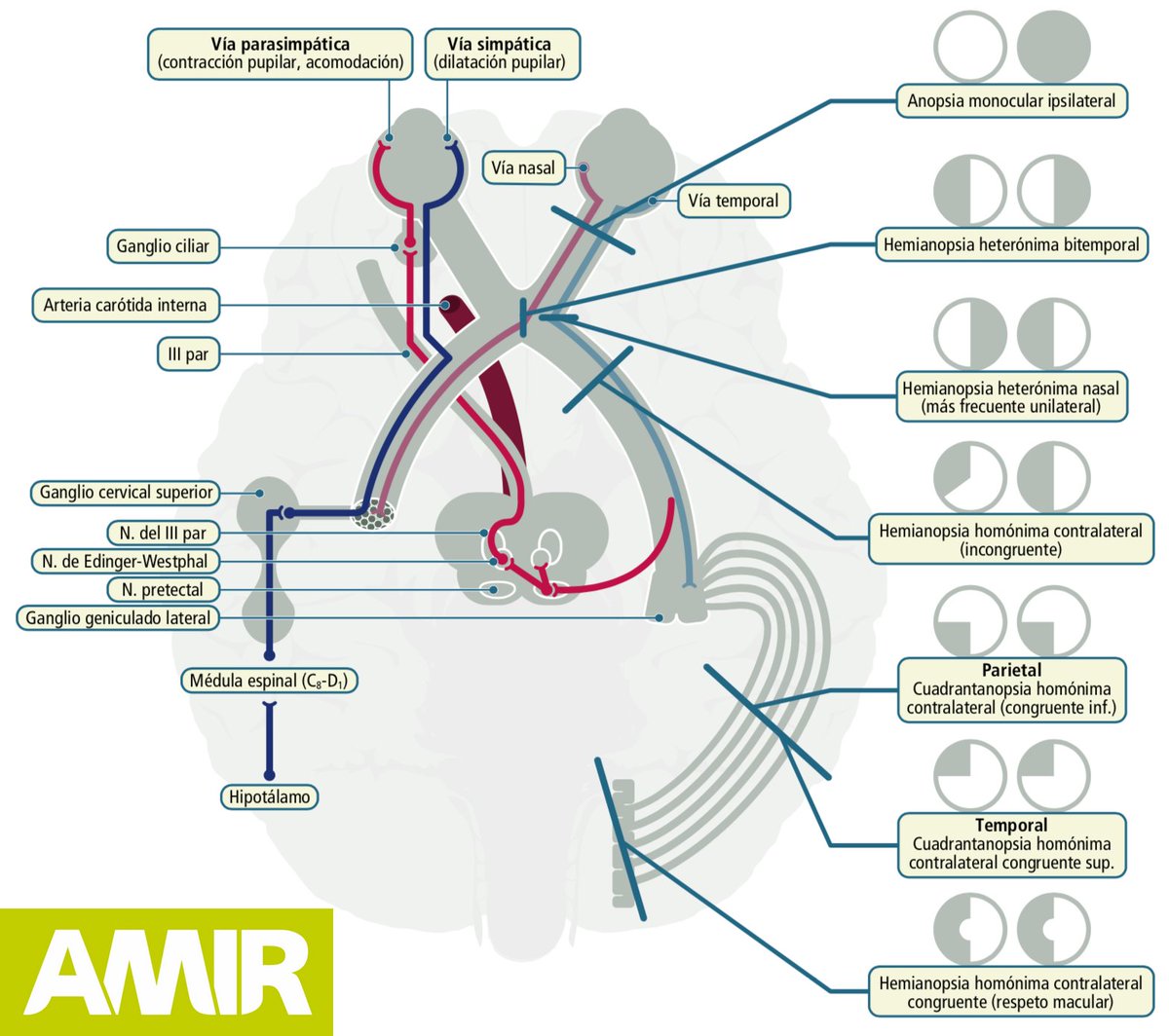 Emmy Villacrés (emmy_gatita) Twitter