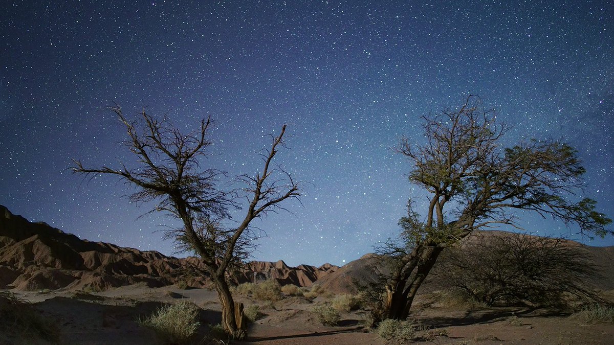 juno_films's tweet photo. "Cielo" dates at @hotdocs are April 28 and April 30. Mark your calendar. #hotdocs #junofilms https://t.co/bfogz6mMIl