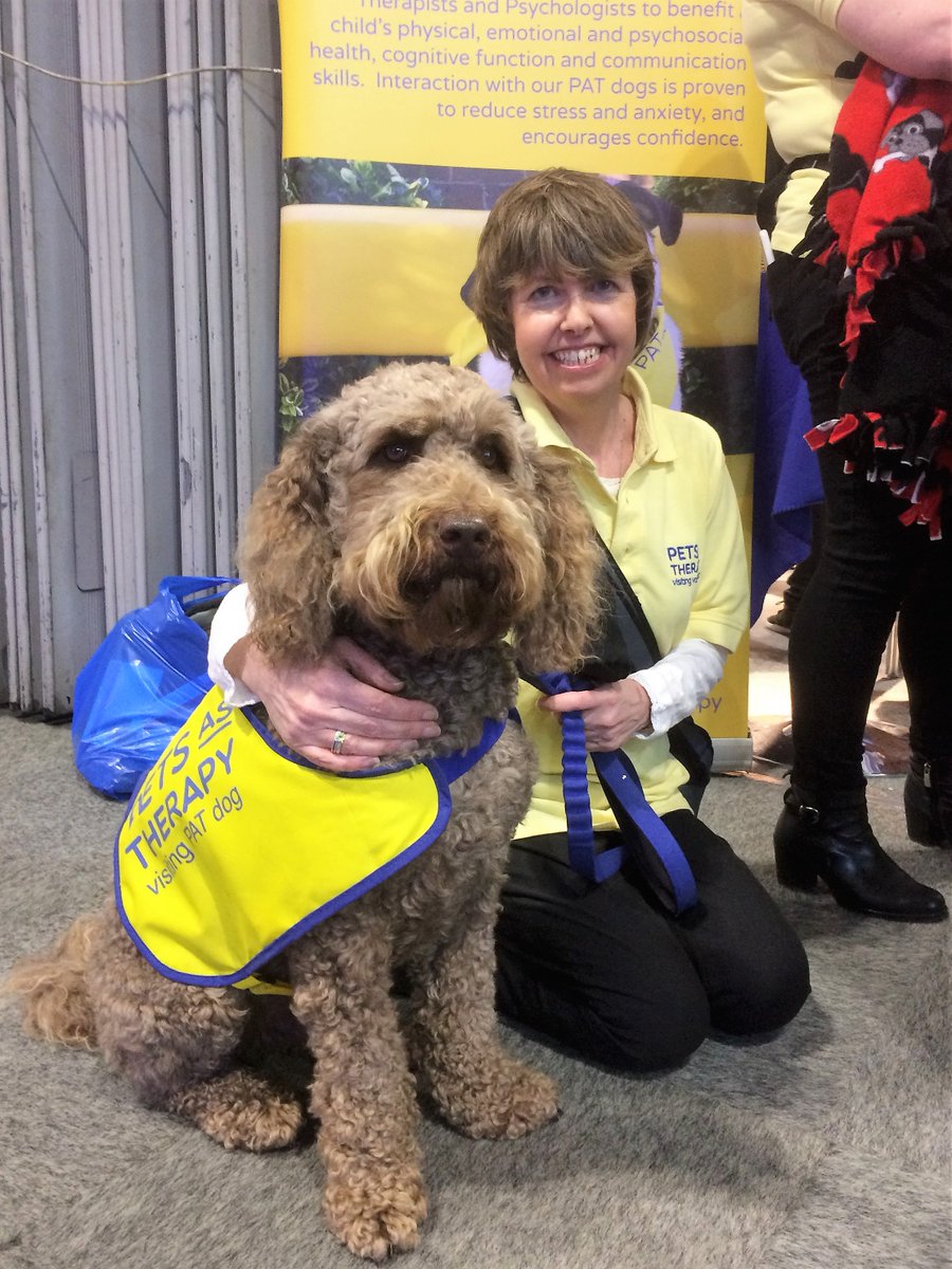 Aww check out Teddy our #Hospice <a href="/PetsAsTherapyUK/">Pets As Therapy</a> dog at #Crufts2018 More here:  tinyurl.com/yaphxrmz@@NLin… @ScunTelegraph