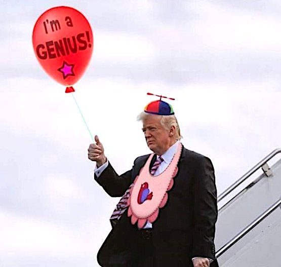 Bruins_Fatalist's tweet image. Well aren't you the #LilGenius oh no that would be #CambridgeAnalytics