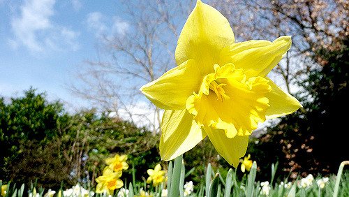 ES_Solutions's tweet image. With the bad weather hopefully gone and the sun out, it looks like spring is here, the time when we all start perking up and looking forward. So, could we help you with your #website and/or #socialmedia? Why not book a FREE Consultation to find out? eaglesoft.co.uk #Leeds