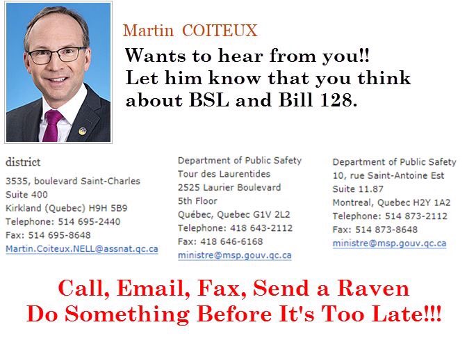 BSLWarrior's tweet photo. If Tweeting @CoiteuxMartin doesn’t seem to get through here are some other ways to contact him &amp; let him know he should #KillBill128 #EndBSL #WUABSL #polqc #assnat #AllDogsMatter https://t.co/UjjEPXmPJx