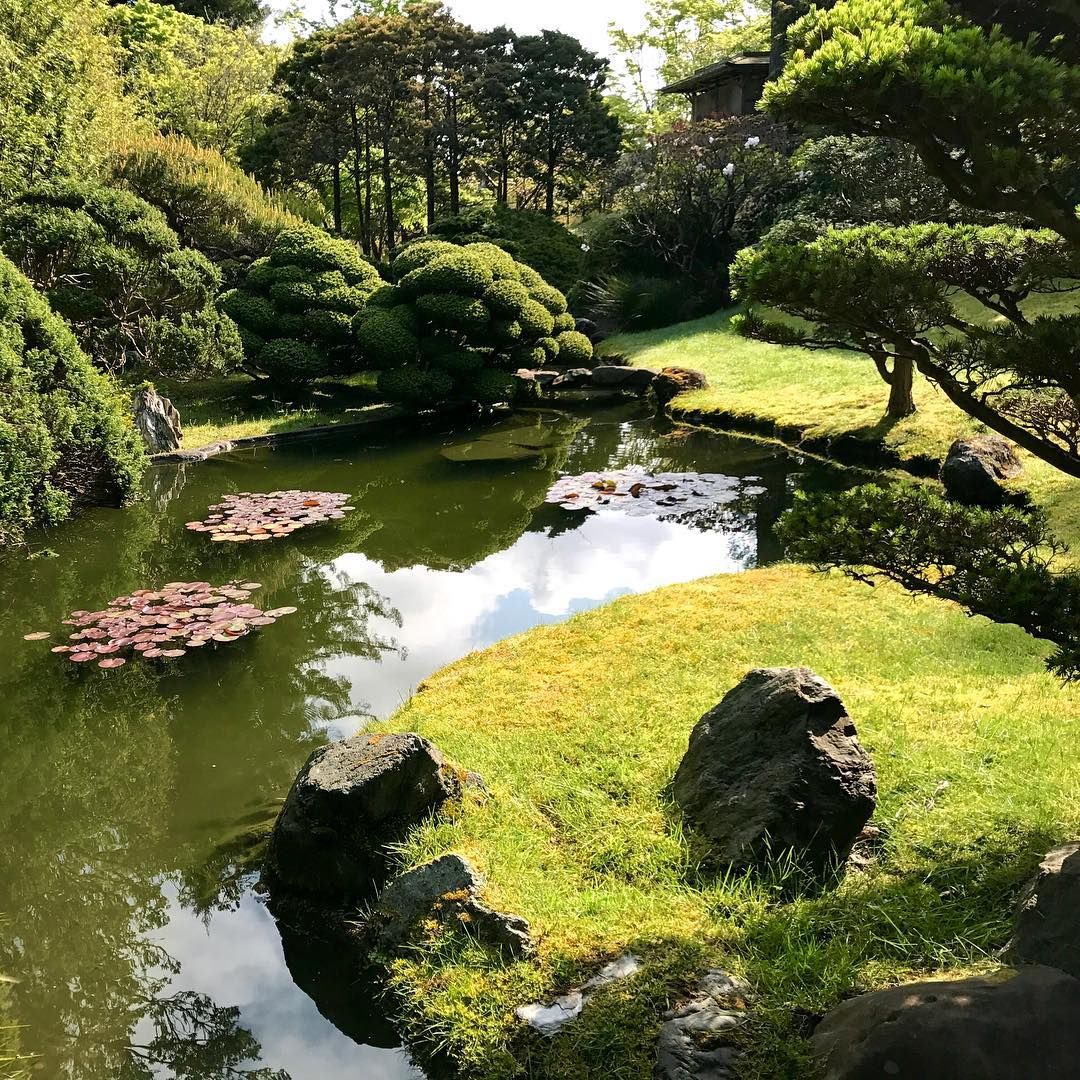 Follow Gardeny Goodness on Instagram for #gardendesign #inspriation buff.ly/2G2Eogg #flowers #landscapedesign #gardening #Instagram