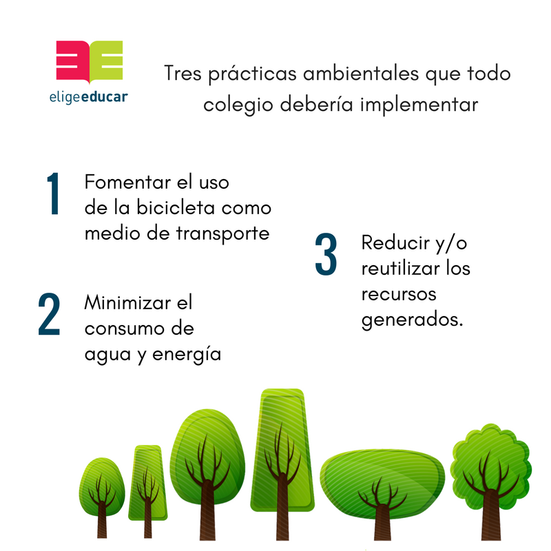 eligeeducar's tweet photo. ¿Conocías estas prácticas? 🌱🌿 Aquí te dejamos otras que tu colegio podría implementar:  https://t.co/QBpVlIhbNI https://t.co/XS8kUDn9Qj