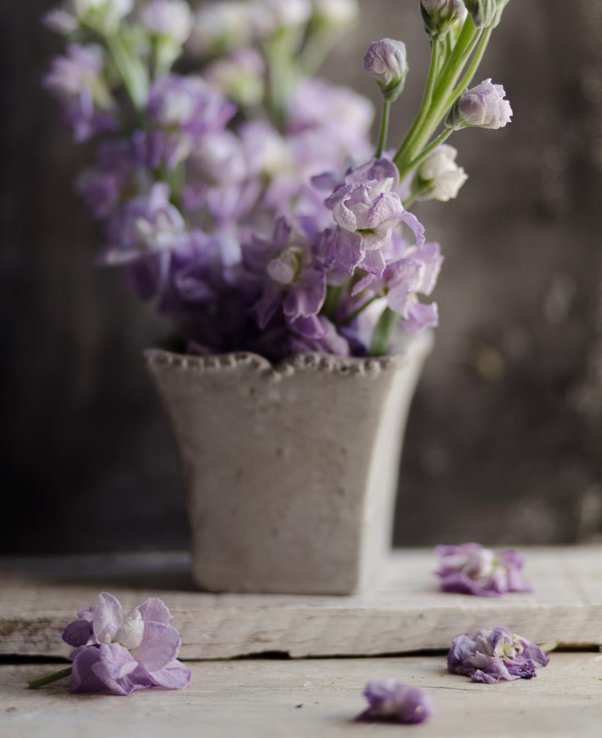 DY5LxwTWAAAnB5F.jpg:large