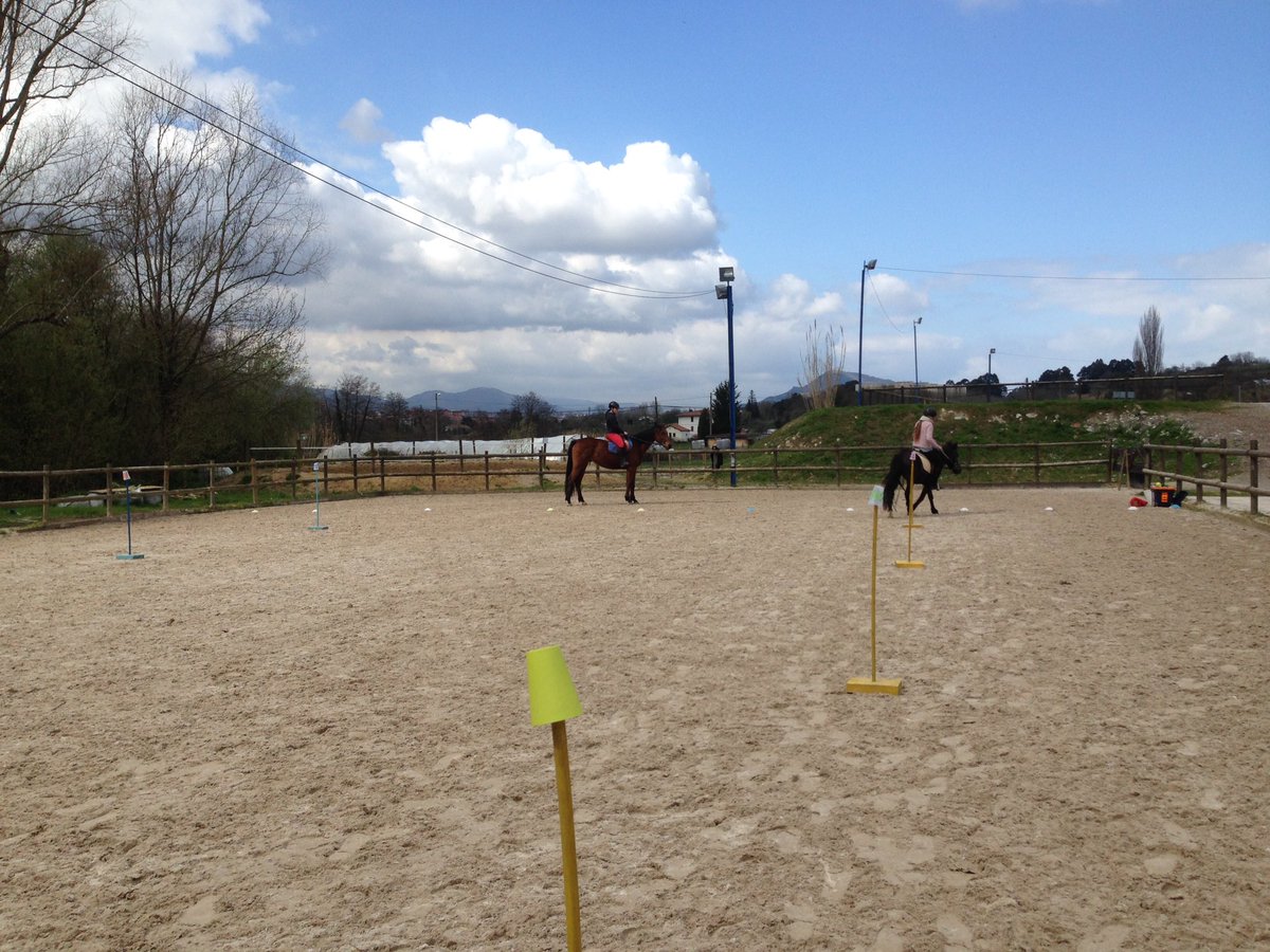 carlosganzabal's tweet photo. Aprovechando el solecillo, practicamos el aprendizaje de la equitación a través del juego @goiherri #learningplayingandriding #horses #ponys https://t.co/ZEkH21klvF