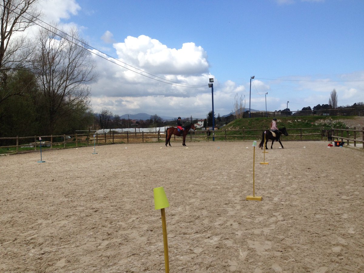 carlosganzabal's tweet photo. Aprovechando el solecillo, practicamos el aprendizaje de la equitación a través del juego @goiherri #learningplayingandriding #horses #ponys https://t.co/ZEkH21klvF