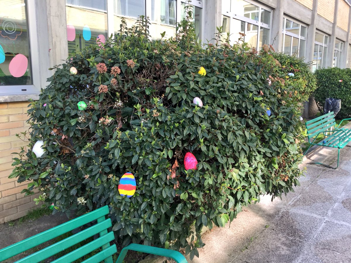 MissVirginiaT's tweet photo. Easter Bunny has left easters eggs in the kindergarden #welcomeeaster #Easter2018 #easterseggs #infant @ColBernadette 🐰🥚🐣 https://t.co/PeEyPYKE1C