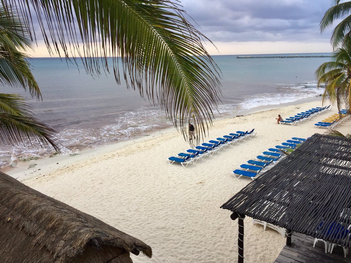 seaweed problem in Riviera Maya Playa del Carmen Forum Tripadvisor