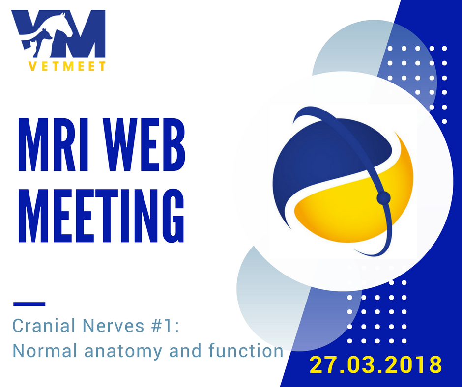 VetMeet's tweet photo. Next week we will bring the cranial nerves to the RUNWAY of our #MRIwebMeeting.  We will embrace the complexity of their  anatomy, function and dysfunction during this new chapter. Join us here:  https://t.co/2scaXjgLHr #VetMeet #VetRadiology #VetImaging #VetMRI https://t.co/48mU8IuyAe