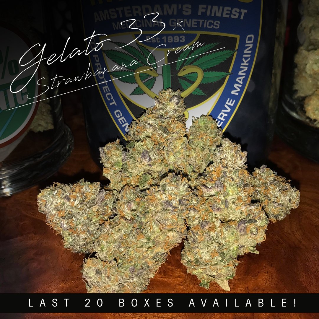 T.H.Seeds® Amsterdam tweet media