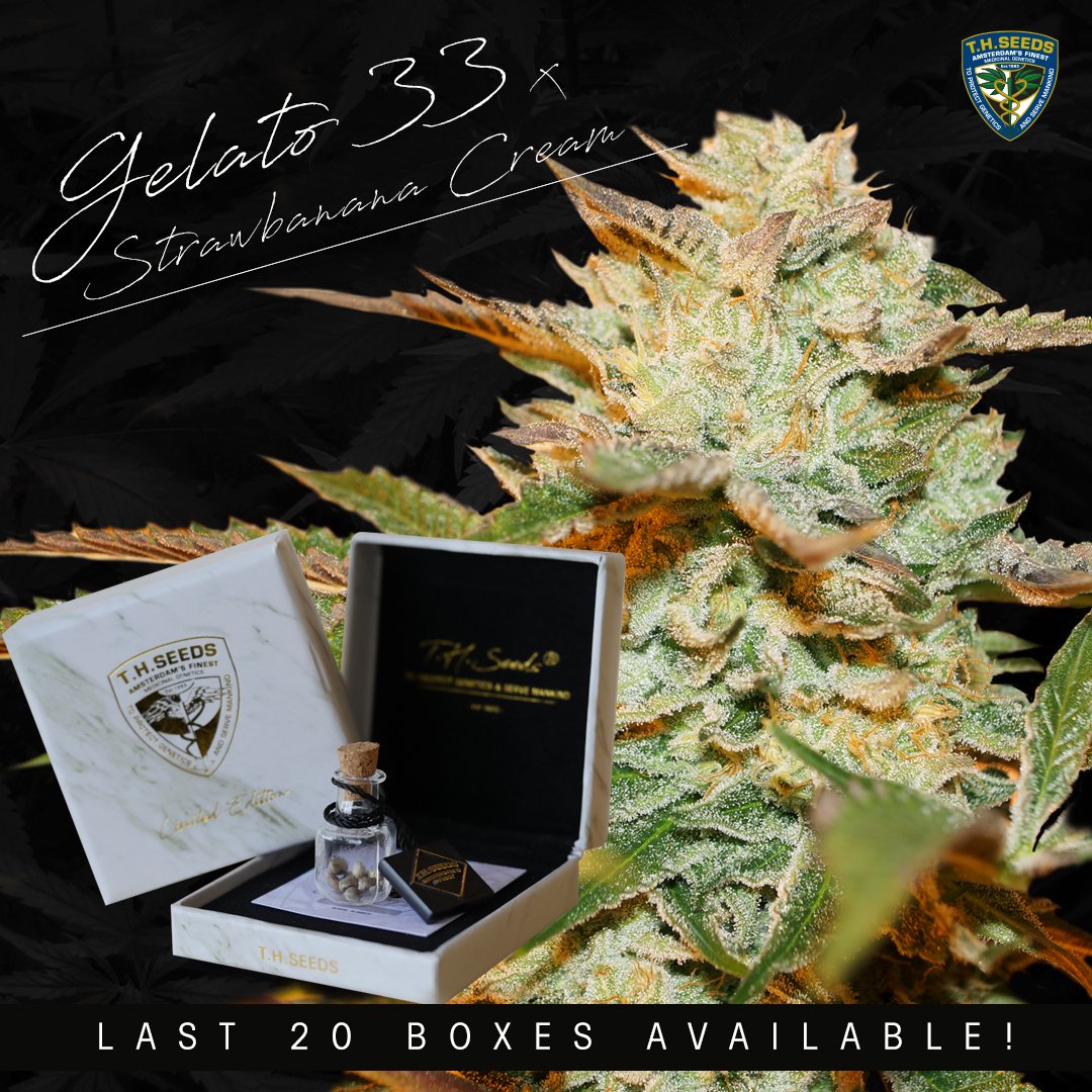 T.H.Seeds® Amsterdam tweet media