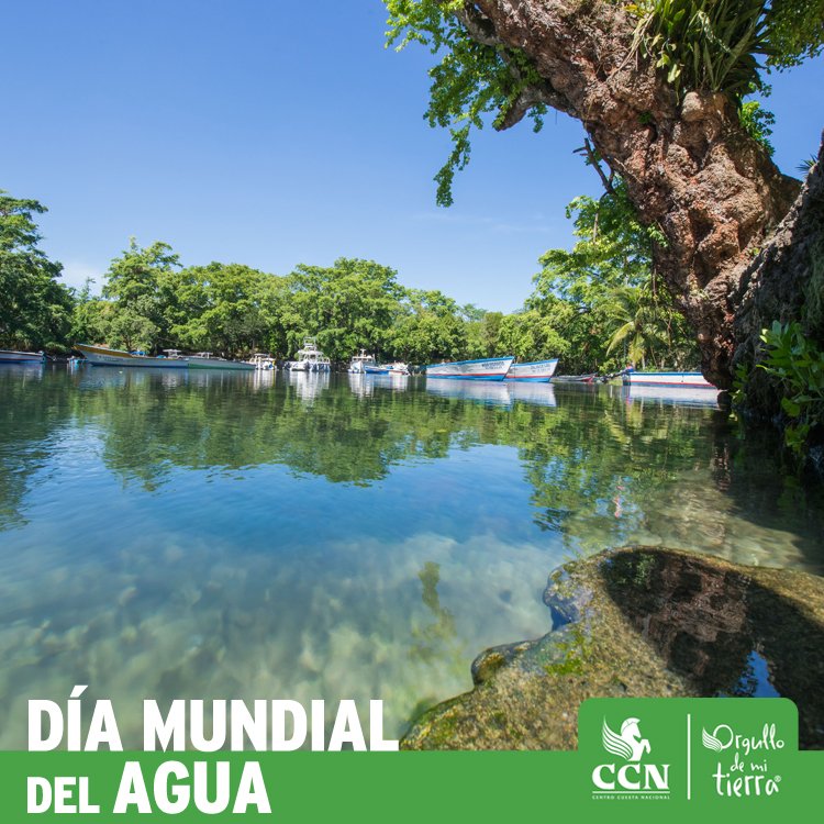 Hoy en el Día Mundial del Agua, se invita a proteger los recursos naturales que sirven para cuidar del agua, y tomar acción. A la vez, les exhortamos a hacer uso responsable de nuestros recursos acuíferos y nuestro medio ambiente en general.
Foto: Laguna Gri Gri