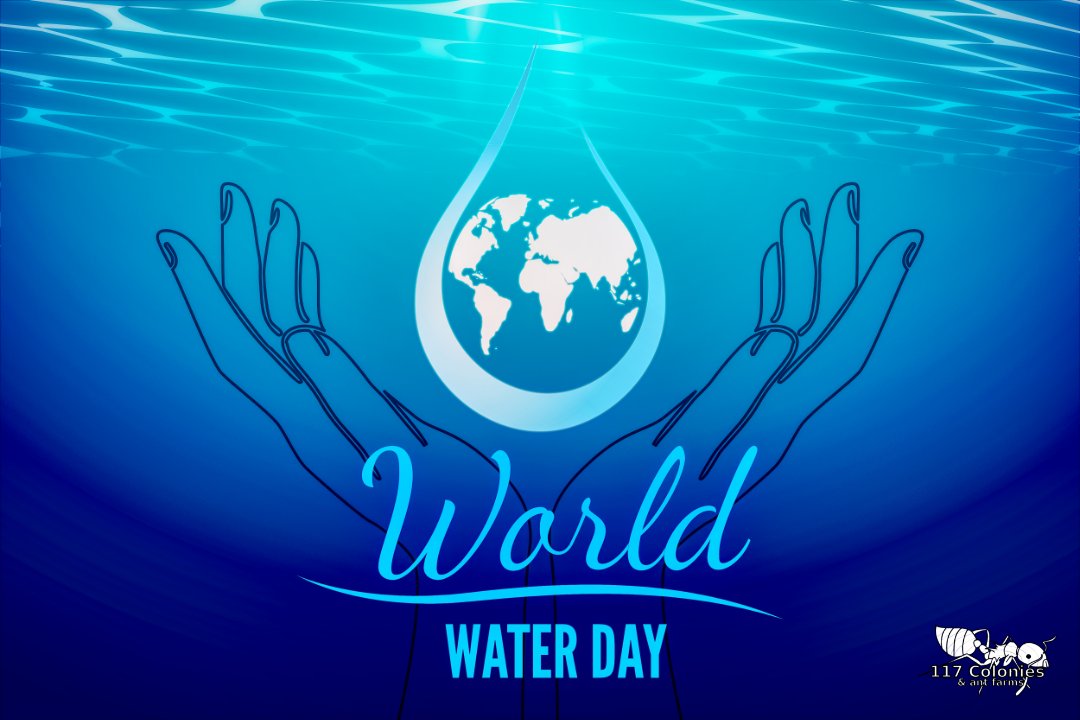 Colonies117's tweet image. Save water. Save life. #WorldWaterDay 
#Ants #AntFarms #AntFarmsforsale
