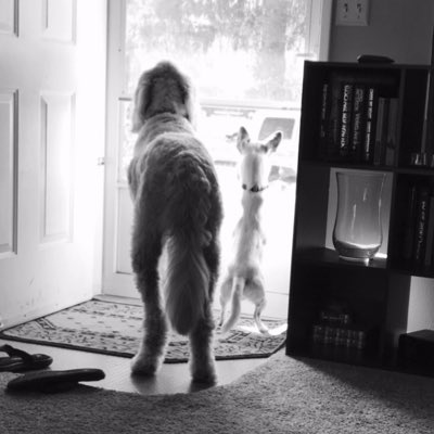 scrapper64's tweet photo. #NewProfilePic https://t.co/IUWJkpOq8J