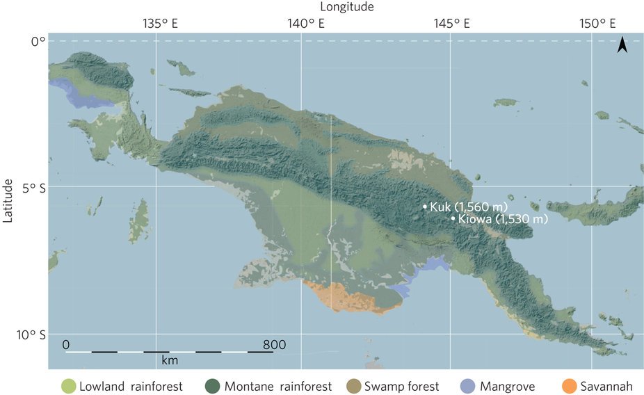 NatureEcoEvo's tweet image. Persistent tropical foraging in the highlands of terminal Pleistocene/Holocene New Guinea nature.com/articles/s4155… plus News &amp;amp; Views nature.com/articles/s4155… #March2017highlight #ICYMI