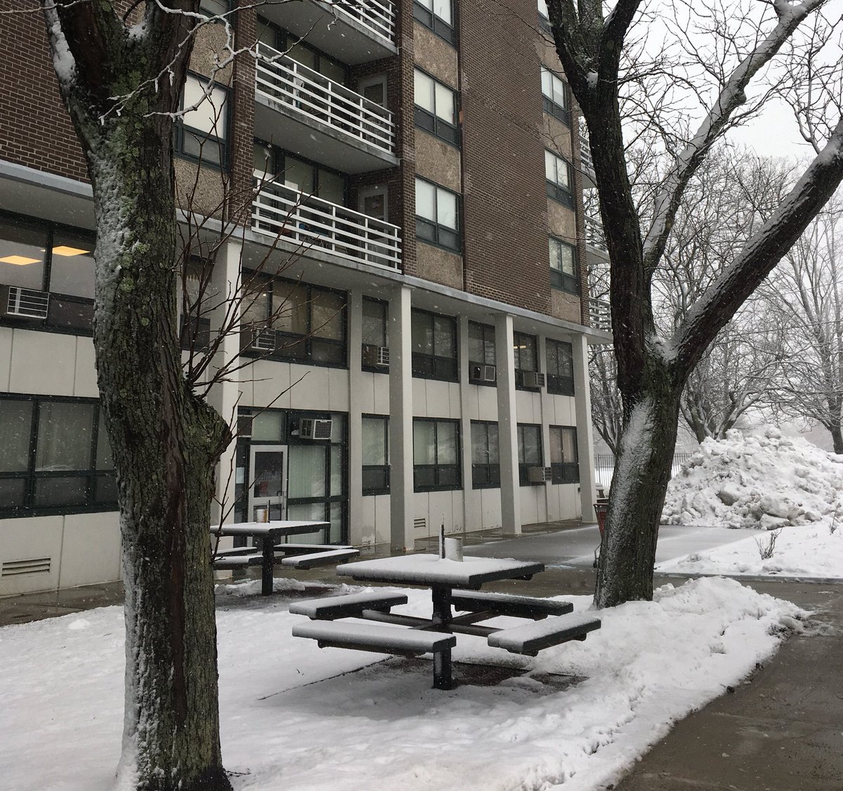 BrocktonHousing's tweet photo. Thankful that the weather forecasters and the forecast was wrong. We are still removing any snow, clearing walkways and putting down sand and salt. #BHA #foureaster #noreaster #noeaster #brocktonhousingauthority #Brockton #Massachusetts https://t.co/D0FexelRIN