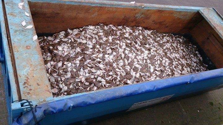 <a href="/WUR/">Wageningen U&R</a> @JohanVerreth Gevoed met discards die vissers niet meer levend overboord mogen zetten, LEKKER DUURZAAM

de zeeën en oceanen uitputten om kweekvis te voeren.