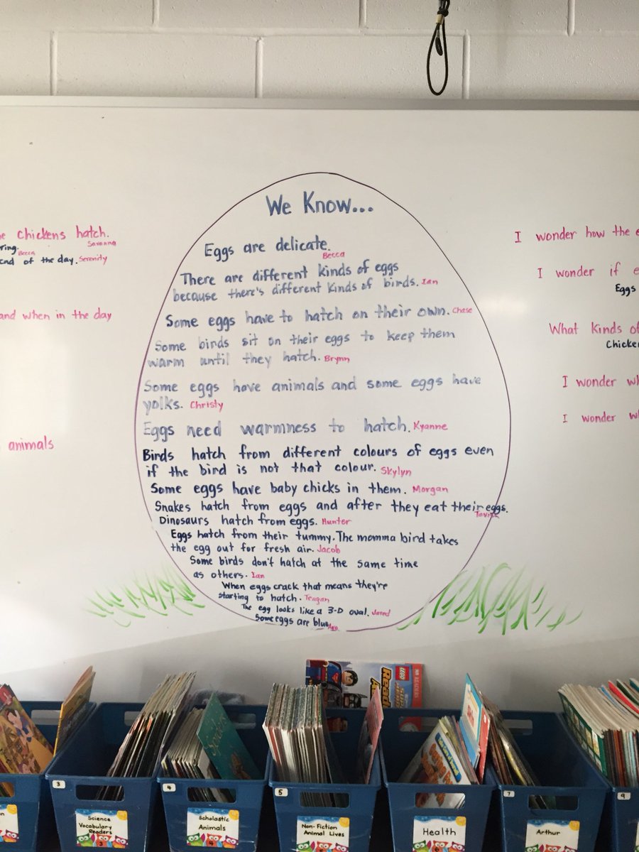 Lions Oval PS (@lionsovalps) on Twitter photo We are very busy wondering about eggs this morning in kindergarten. Why are robin eggs blue when robins are not? <a href="/SCDSB_Schools/">Simcoe County District School Board</a> <a href="/SCDSBey/">SCDSB Early years</a> can anyone help us with this wondering? <a href="/BigBird/">Big Bird</a> <a href="/BirdwatchExtra/">Birdwatch</a> We are very busy wondering about eggs this morning in kindergarten. Why are robin eggs blue when robins are not? <a href="/SCDSB_Schools/">Simcoe County District School Board</a> <a href="/SCDSBey/">SCDSB Early years</a> can anyone help us with this wondering? <a href="/BigBird/">Big Bird</a> <a href="/BirdwatchExtra/">Birdwatch</a>