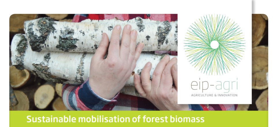 ForestETP's tweet photo. 🌳 Read more about sustainable #mobilisation of #forest #biomass in the final report published by @EIPAGRI_SP Focus Group #FTP_AC ➡️ https://t.co/kQd88eZwuk https://t.co/McRVbMz1Js