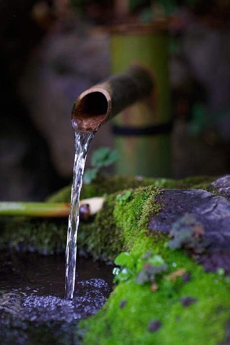 PardueSuzanne's tweet photo. Thousands have lived without
love, not one without water...

- W. H. Auden
#WorldWaterDay https://t.co/kcbj1ARQaO