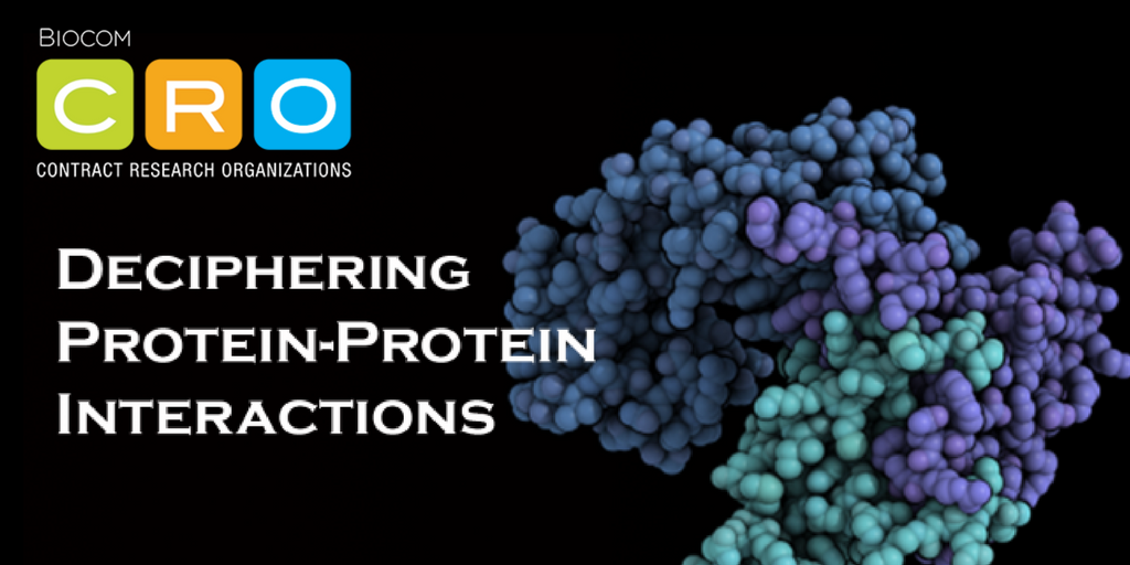 Biocom's tweet photo. The experts at @ChemDiv, a global integrated design-to-market CRO part of the #BiocomCRO community, weigh in on if deciphering protein-protein interactions (PPIs) is the next big research challenge: https://t.co/cJUeNt0hIb https://t.co/QVgiDwBqbU
