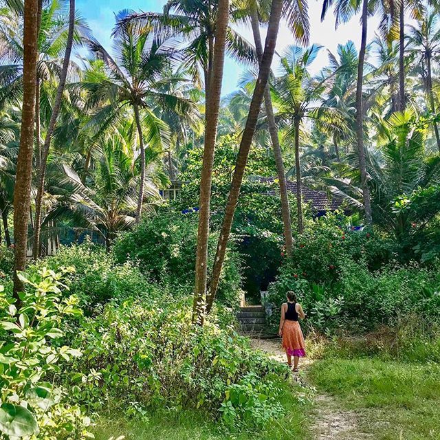 After 423 days of traveling around the world we‘re back in Germany but our hearts and minds are still wandering. On the blog you’ll find the attempt of a conclusion of that time of ultimate freedom (but only in German) as well as our plans for the next m… ift.tt/2IKxNsq